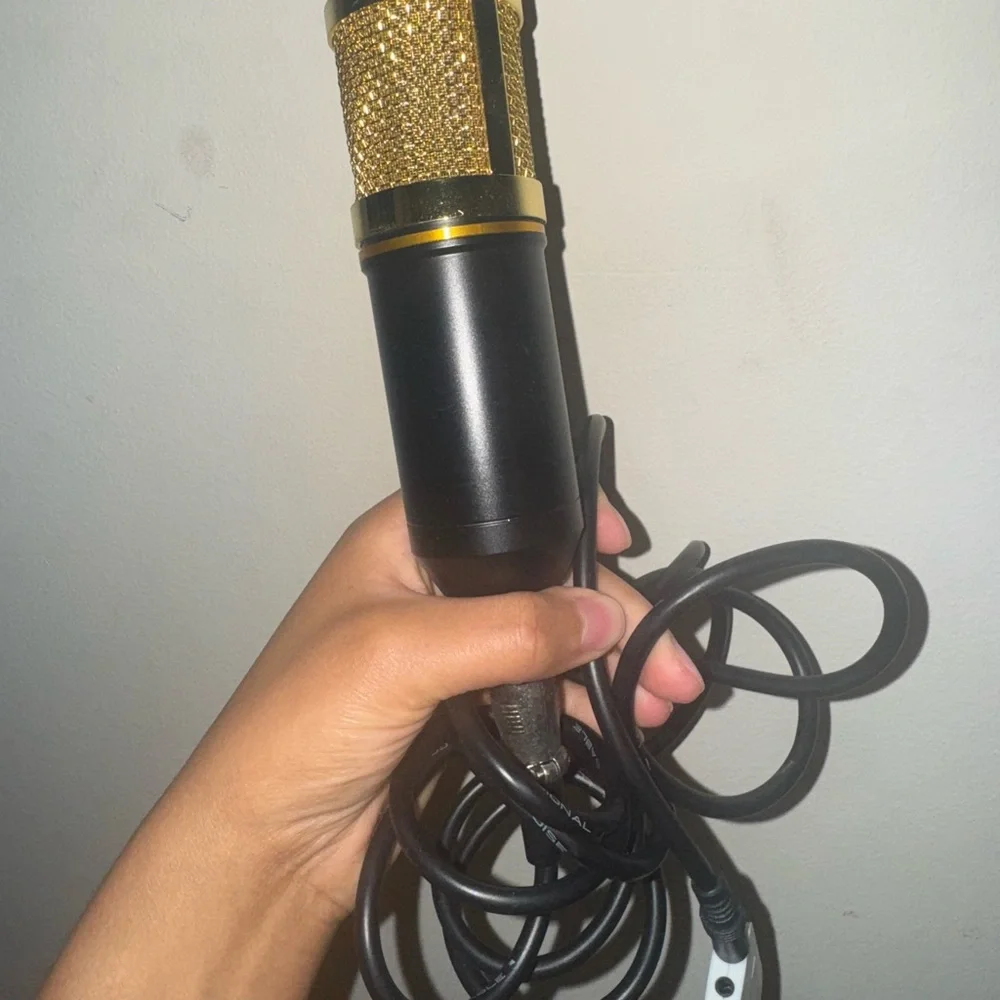 BM-800 Gold and Black Microphone